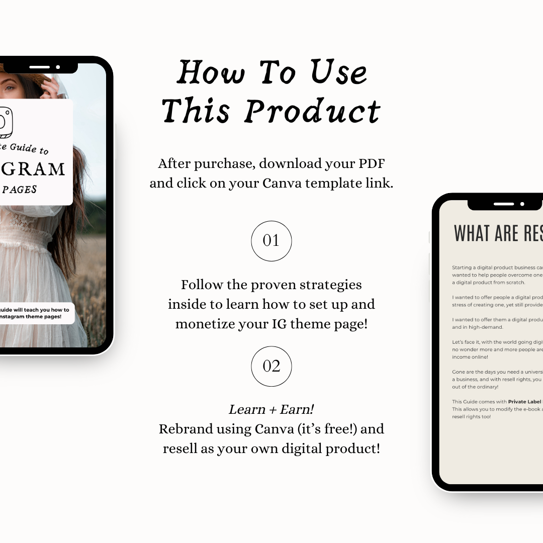 The Ultimate Guide to Theme Pages (with MRR + PLR!)