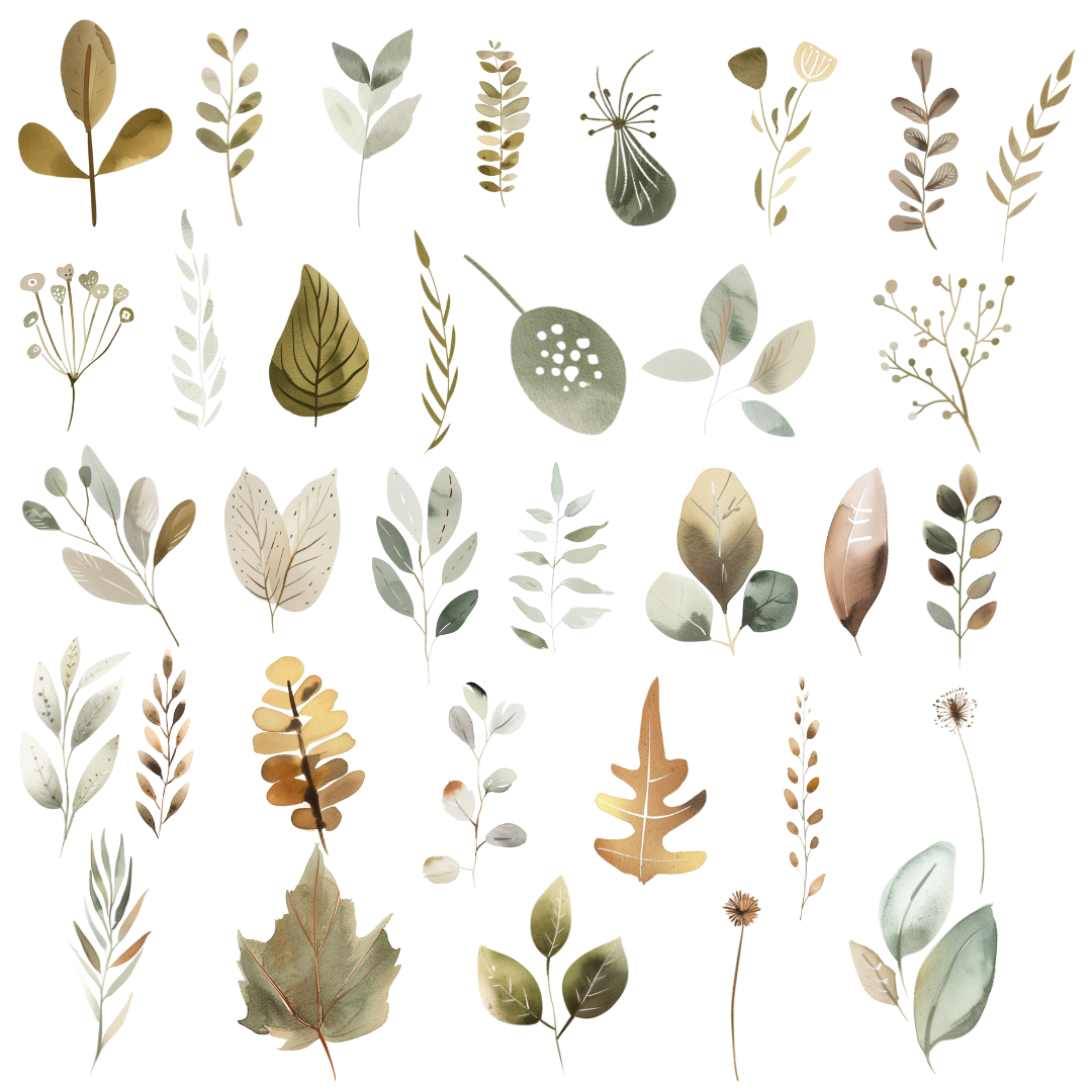 Organic Foliage Clipart - 34 PNG Clipart Images With Transparent Backgrounds